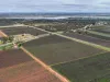 234 Thiele Road, Loveday, SA 5345