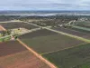 234 Thiele Road, Loveday SA 5345-Image
