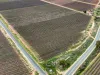 234 Thiele Road, Loveday SA 5345-Image