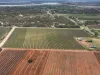 234 Thiele Road, Loveday, SA 5345-Image