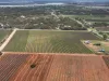 234 Thiele Road, Loveday SA 5345-Image