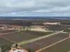 234 Thiele Road, Loveday, SA 5345-Image