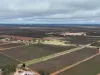 234 Thiele Road, Loveday SA 5345-Image