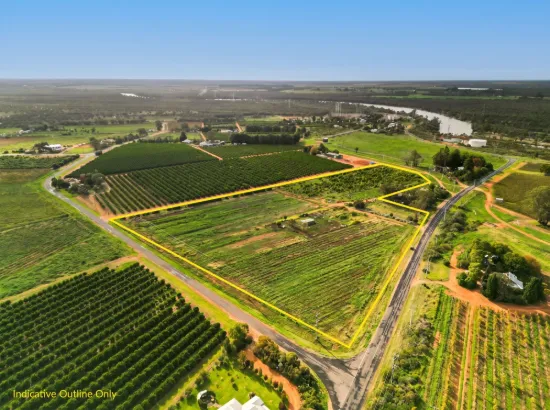 239 Pumps Road, Red Cliffs VIC 3496-Image