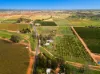 239 Pumps Road, Red Cliffs VIC 3496-Image