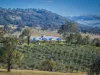 25 Mossy Rock Lane, Monivae, NSW 2850