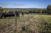 25 Mossy Rock Lane, Monivae, NSW 2850-Image