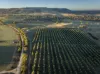 25 Mossy Rock Lane, Monivae, NSW 2850-Image