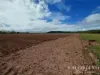 262, Gilmore Road, Mareeba, Qld 4880-Image