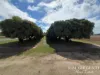 262, Gilmore Road, Mareeba, Qld 4880-Image