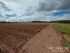 262, Gilmore Road, Mareeba, Qld 4880-Image