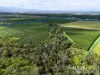 262, Gilmore Road, Mareeba, Qld 4880-Image
