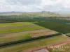 262, Gilmore Road, Mareeba, Qld 4880-Image
