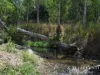 262, Gilmore Road, Mareeba, Qld 4880-Image