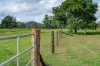 287A, Marys Creek QLD 4570-Image