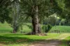 287A, Marys Creek QLD 4570-Image