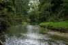 287A, Marys Creek QLD 4570-Image