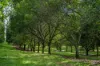 287A, Marys Creek QLD 4570-Image