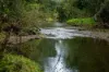 287A, Marys Creek QLD 4570-Image