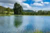 287A, Marys Creek QLD 4570-Image