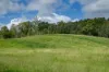 287A, Marys Creek QLD 4570-Image