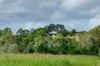 287A, Marys Creek QLD 4570-Image