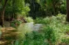 287A, Marys Creek QLD 4570-Image