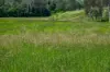 287A, Marys Creek QLD 4570-Image