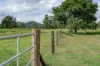 287A Marys Creek Road, Marys Creek, Qld 4570-Image