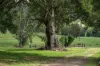 287A Marys Creek Road, Marys Creek, Qld 4570-Image