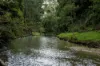 287A Marys Creek Road, Marys Creek, Qld 4570-Image