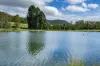287A Marys Creek Road, Marys Creek, Qld 4570-Image