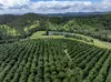 287A Marys Creek Road, Marys Creek, Qld 4570-Image