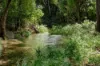 287A Marys Creek Road, Marys Creek, Qld 4570-Image