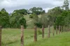 287A Marys Creek Road, Marys Creek, Qld 4570-Image