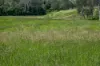 287A Marys Creek Road, Marys Creek, Qld 4570-Image