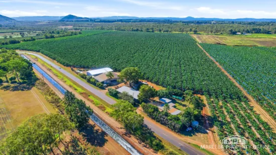 292 Channel Road, Walkamin, Qld 4872
