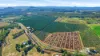 292 Channel Road, Walkamin, Qld 4872-Image