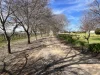 309 Drew Road, Hanwood, NSW 2680-Image