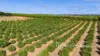 3724 & 3744 Kulkyne Way, Colignan, Vic 3494-Image