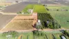 382 Reserve Road West, Coomealla, NSW 2717-Image