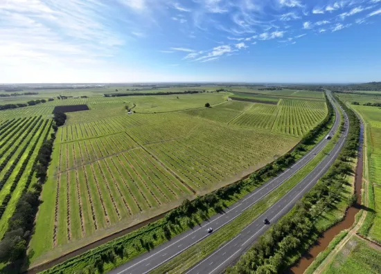 397 Pimlico Road, Pimlico, NSW 2478