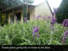 4 Metaira Rd, Ridgley, Tas 7321-Image
