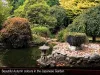 4 Metaira Rd, Ridgley, Tas 7321-Image