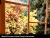 4 Metaira Rd, Ridgley, Tas 7321-Image