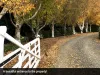 4 Metaira Rd, Ridgley, Tas 7321-Image