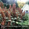 4 Metaira Rd, Ridgley, Tas 7321-Image