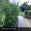 4 Metaira Rd, Ridgley, Tas 7321-Image