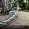 4 Metaira Rd, Ridgley, Tas 7321-Image