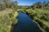 429 Mount Sylvia Road, Upper Tenthill, Qld 4343-Image